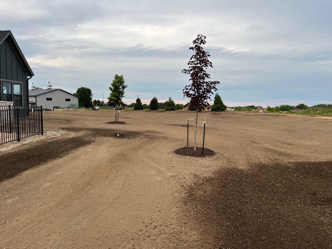 Tree planting services in Washington County, WI