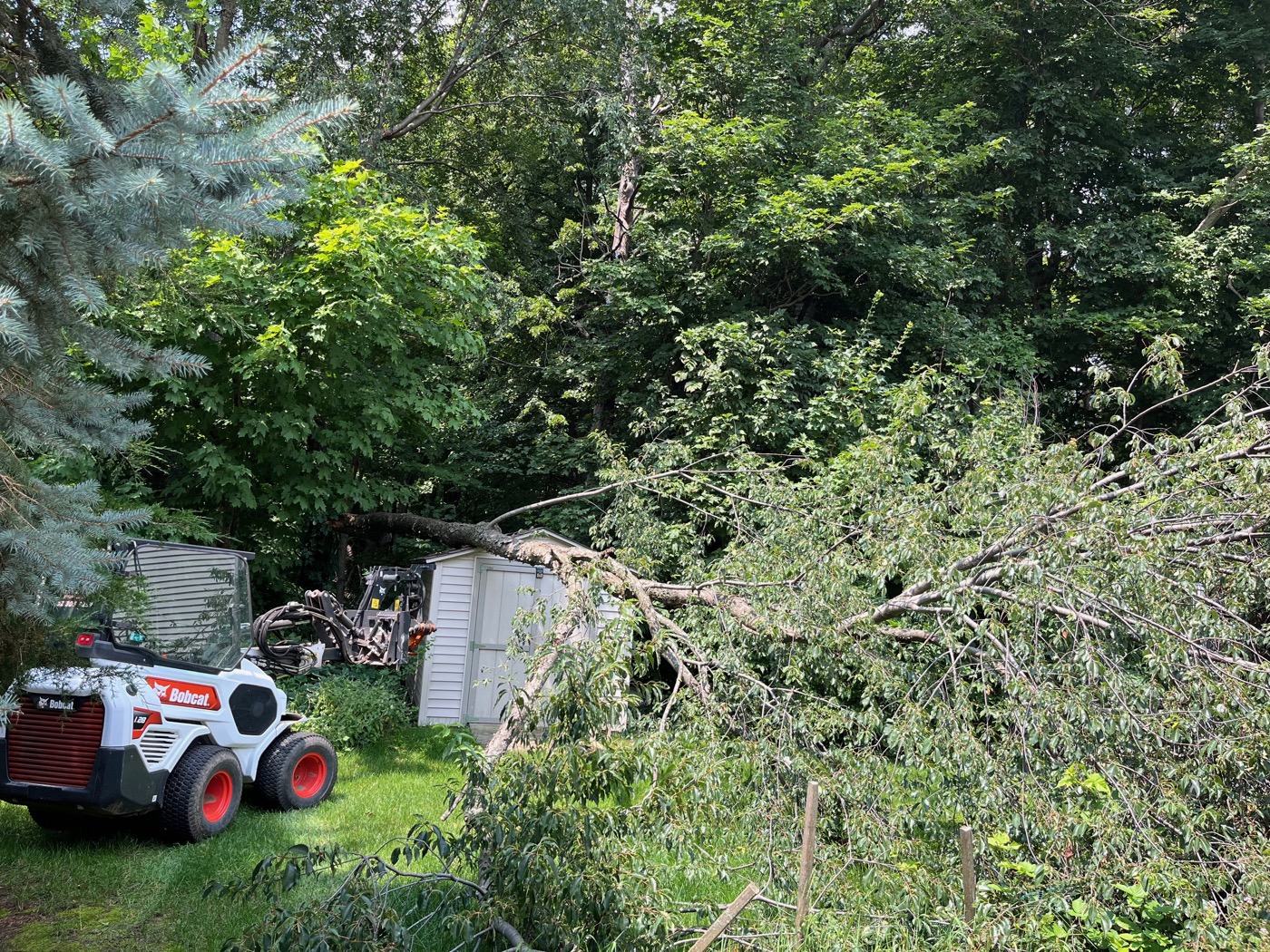 Tree and brush clearing in Jackson, WI