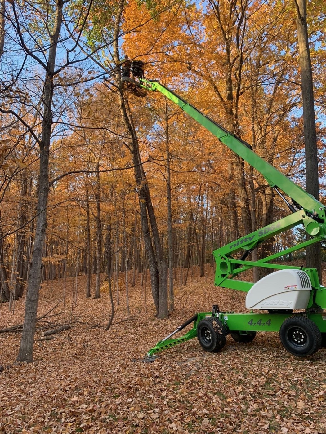 Stump grinding service in Jackson, WI