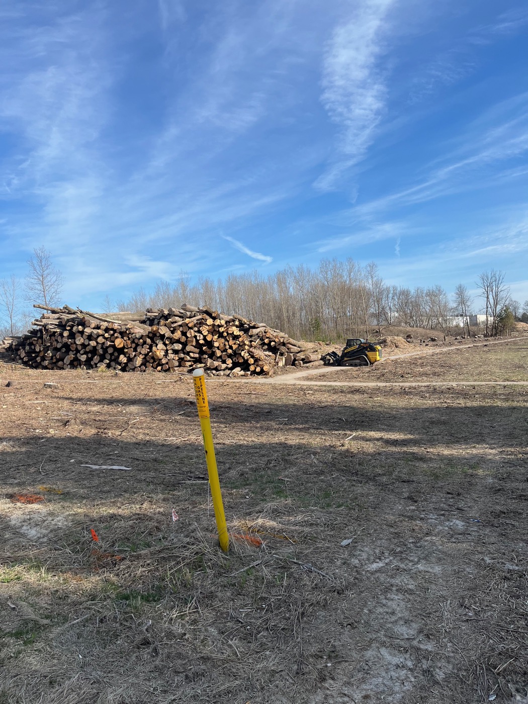 Tree clearing and removal in Washington County, WI