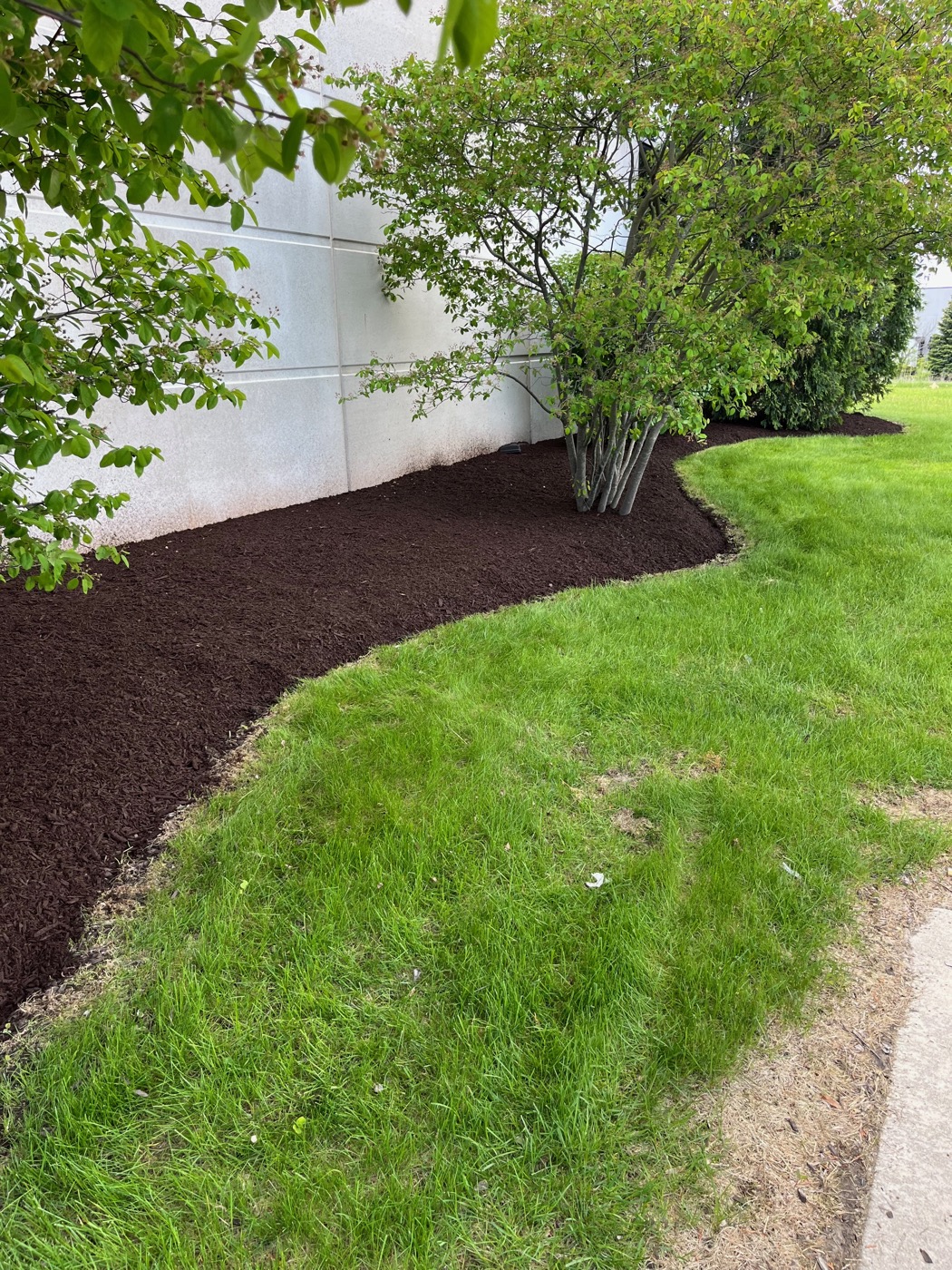 Fresh mulch bed installation in Jackson, WI