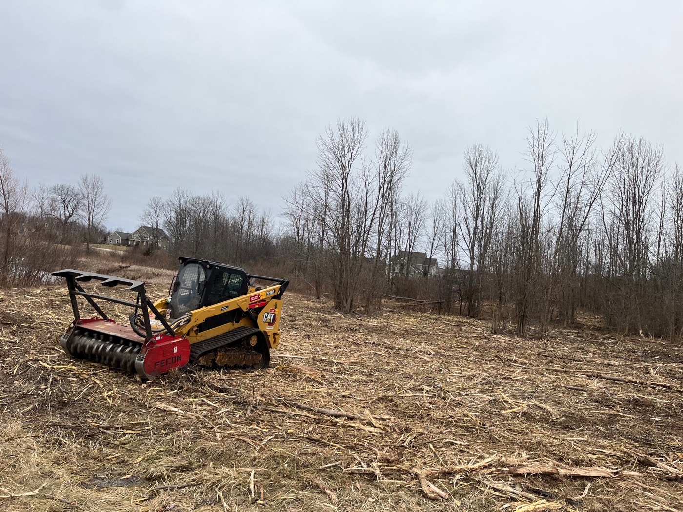 Land clearing and tree removal in Wisconsin
